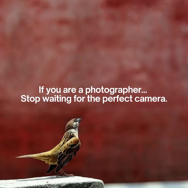  .........otography   'recent posts' 