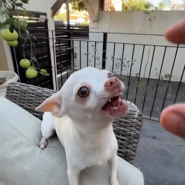  ........astiming   'recent posts' 