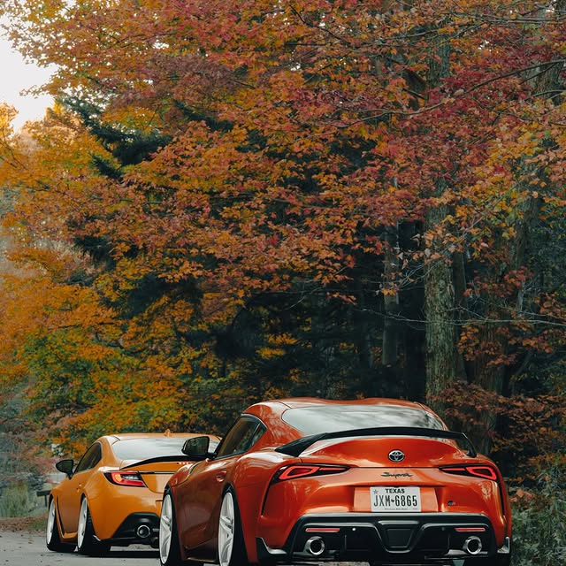  .....mdevil   'recent posts' 