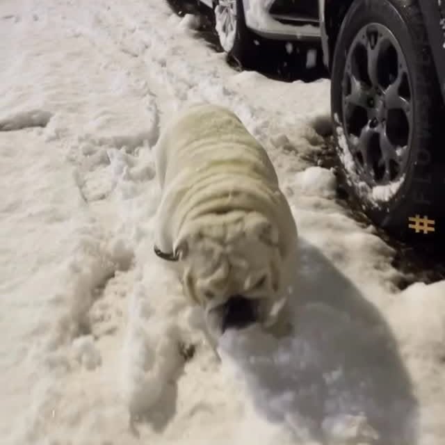  ......rwhite   'recent posts' 