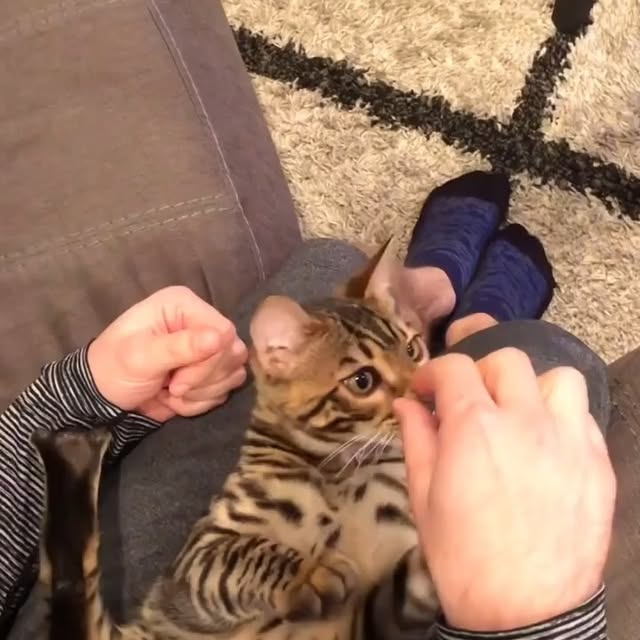  .....li9ht   'recent posts' 