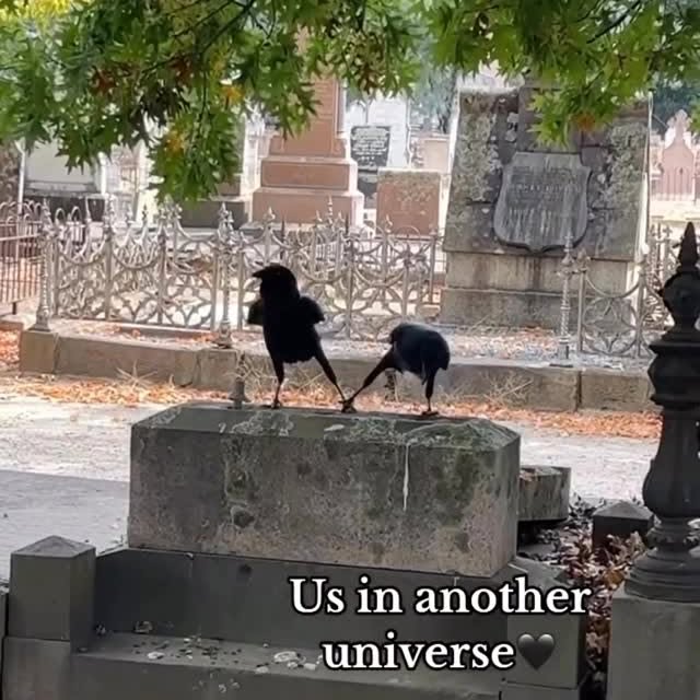  .......elknows   'recent posts' 