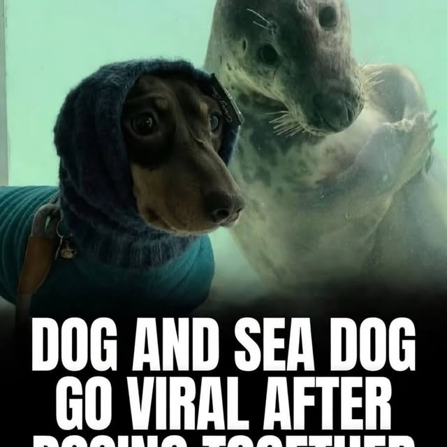  .......rfervor   'recent posts' 