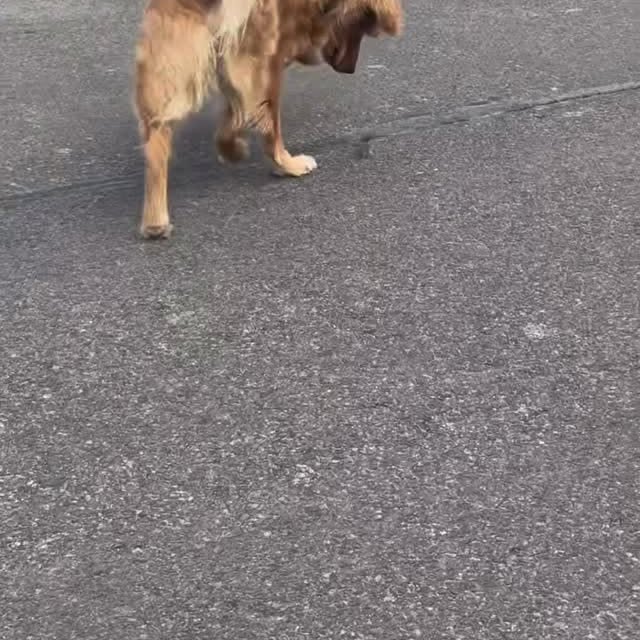  ...urre   'recent posts' 