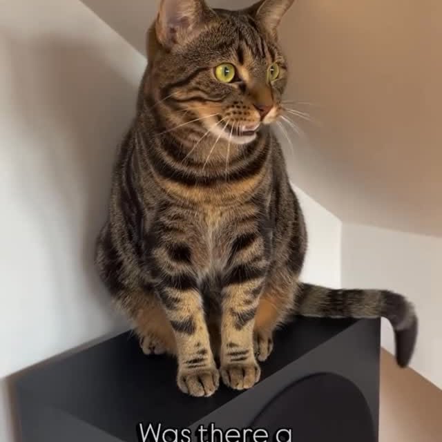  ......kekkek   'recent posts' 