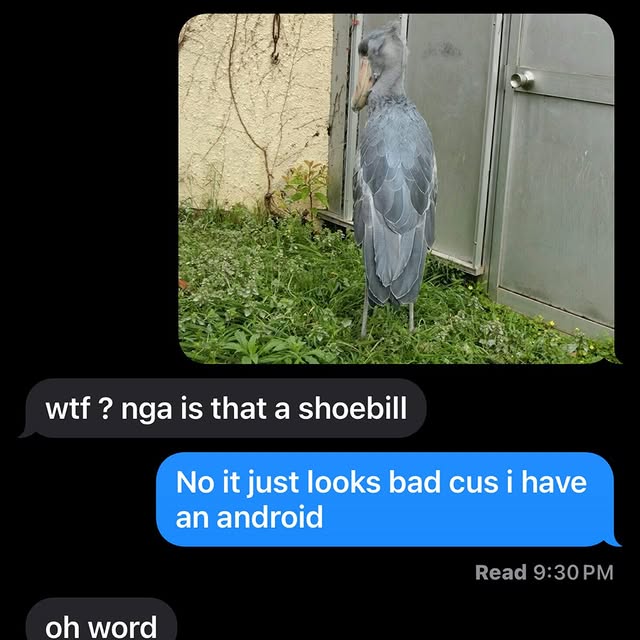  ..........rdoftheday   'recent posts' 