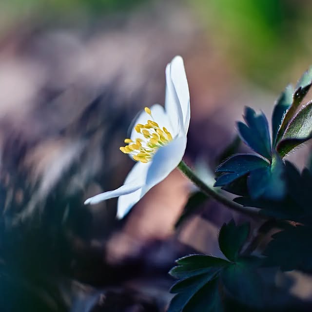  ......llespie   'recent posts' 