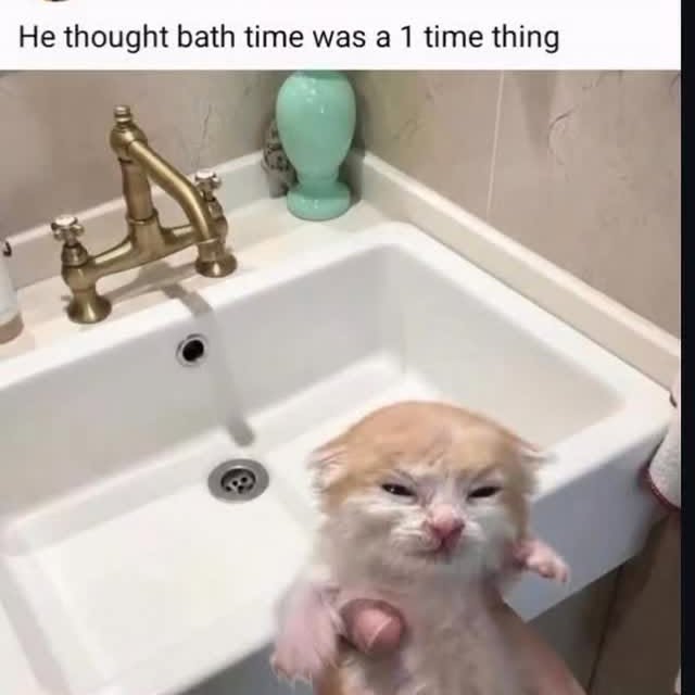  ......nd.kits   'recent posts' 