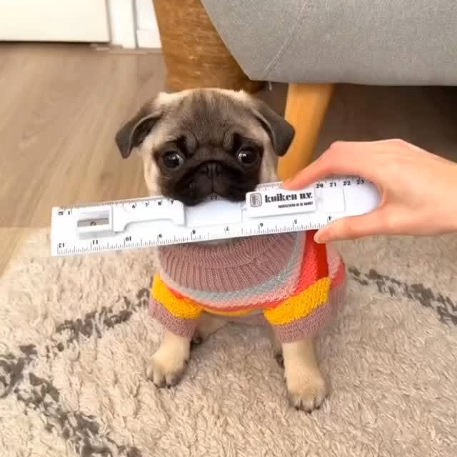  .....wners   'recent posts' 