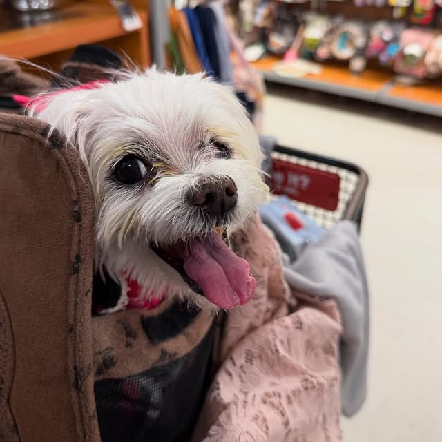  .......rlykong   'recent posts' 