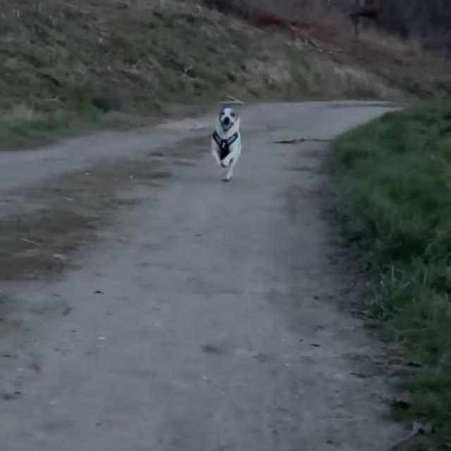  .......sell_luc   'recent posts' 