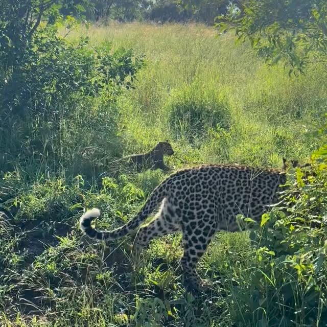  .........._sightings   'recent posts' 