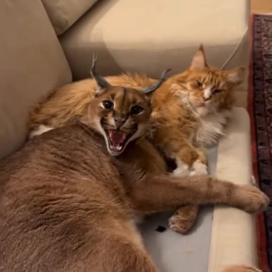  ........vacations   'recent posts' 