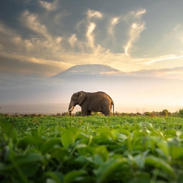  ......sfervor   'recent posts' 