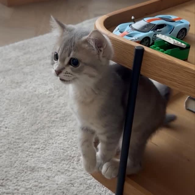  ......kekkek   'recent posts' 