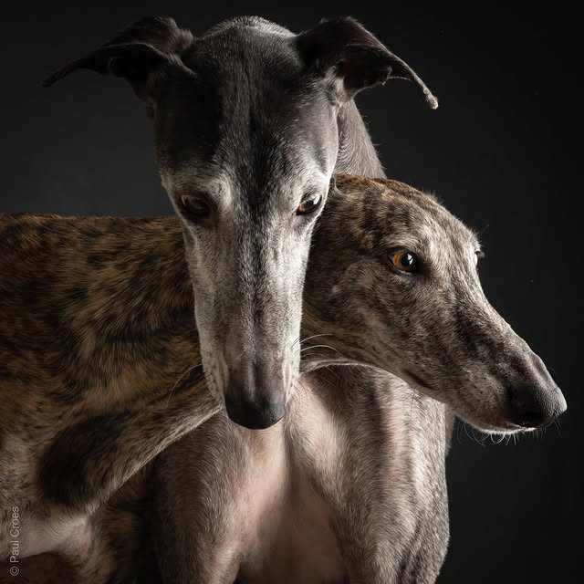  ..........hotography   'recent posts' 