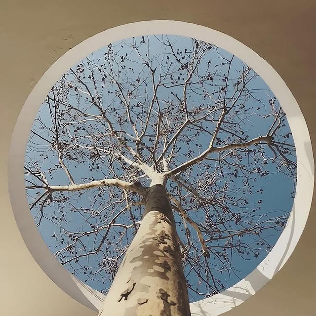  ........ionfervor   'recent posts' 