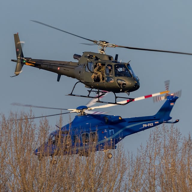  ........ieteamnl   'recent posts' 