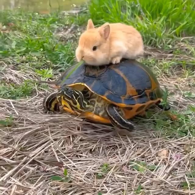  ......torque   'recent posts' 