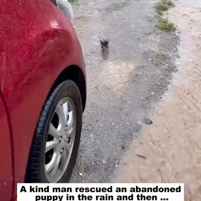  .......xplores   'recent posts' 