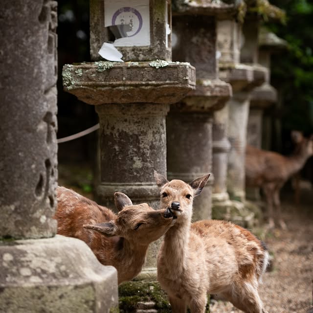  ......lacarte   'recent posts' 