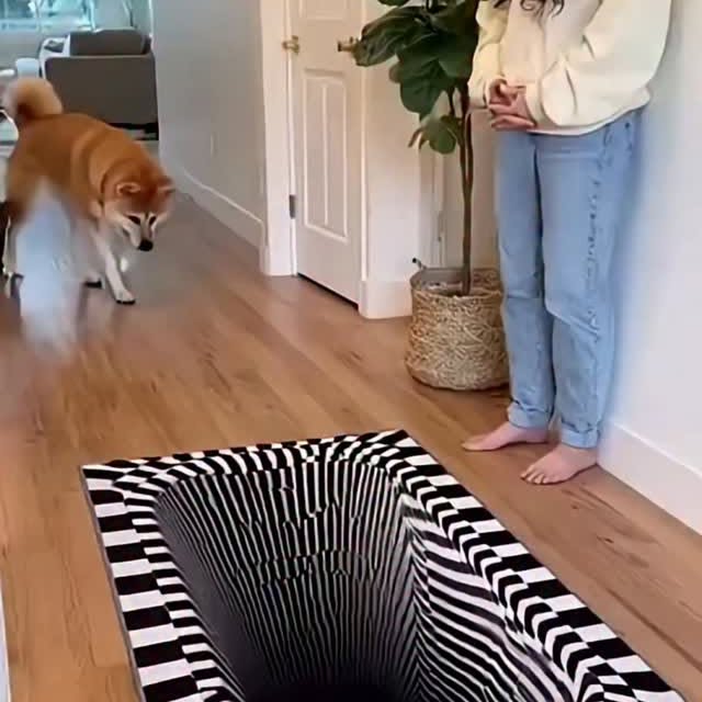  .......plorers   'recent posts' 