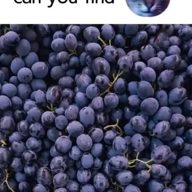  ......ctcars   'recent posts' 