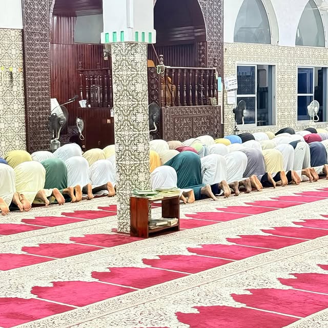  .....djazba   'recent posts' 