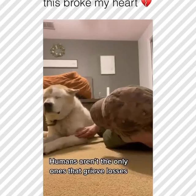  ......rposts   'recent posts' 