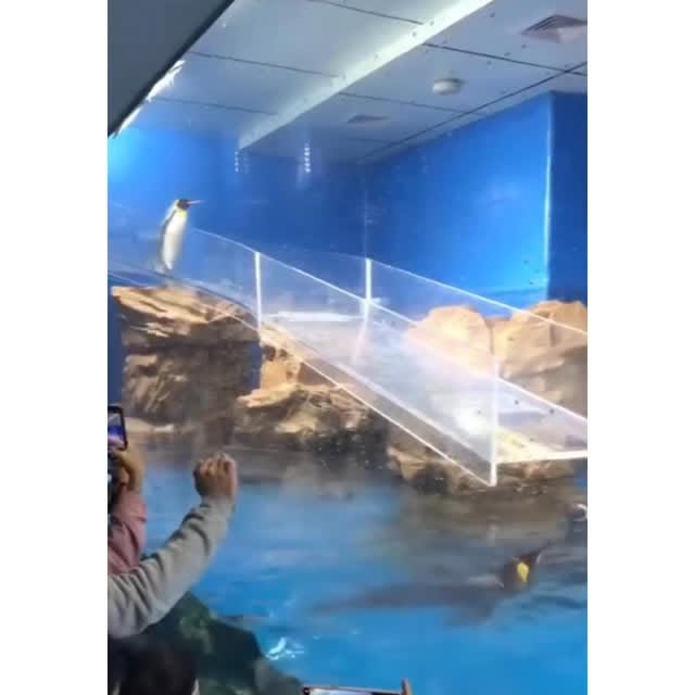  ......marino   'recent posts' 