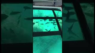  ..................ly   أحمد و نادين   'recent videos' 