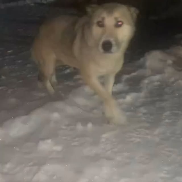  .......eartbeat   'recent posts' 