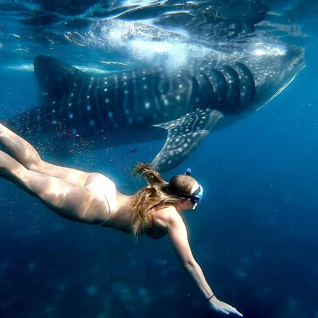  ....ravel   'recent posts' 