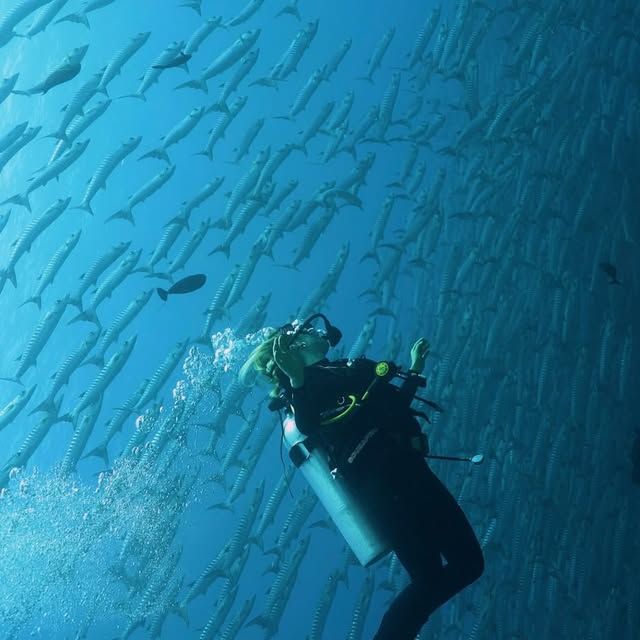  .......arrasso   'recent posts' 