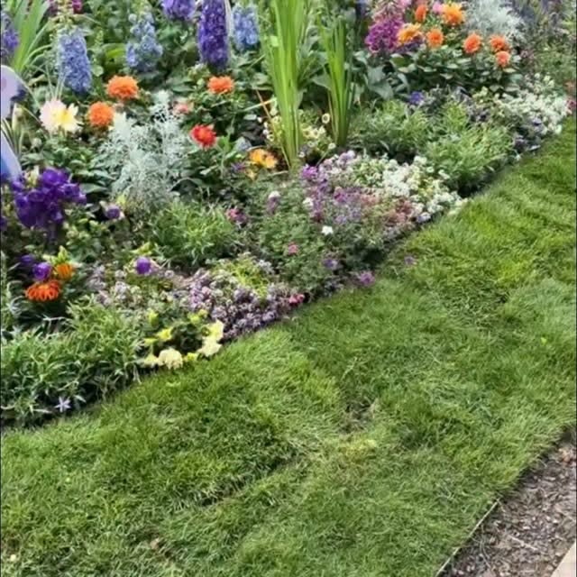  ........vel.club   'recent posts' 