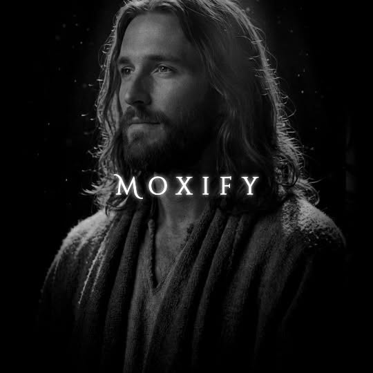  ....fy.ai   'recent posts' 