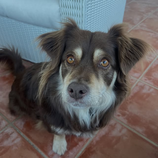  .....og2020   'recent posts' 