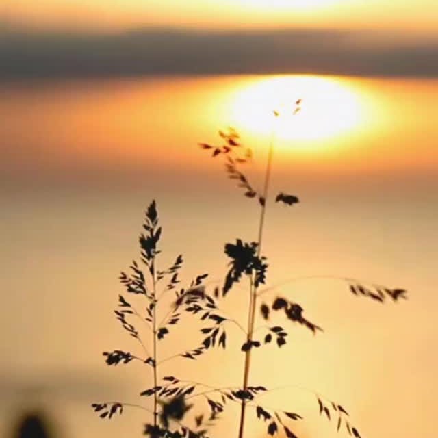  .......n_farzam   'recent posts' 