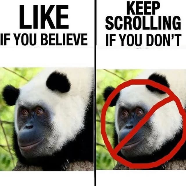  .......posting   'recent posts' 