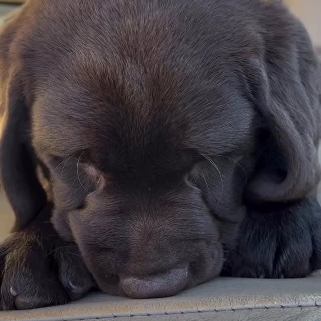  .......r_class   'recent posts' 