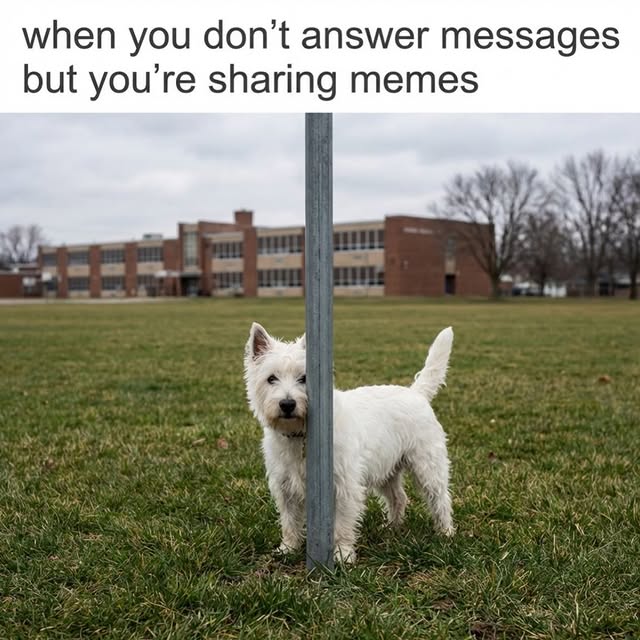  .........edstruggle   'recent posts' 