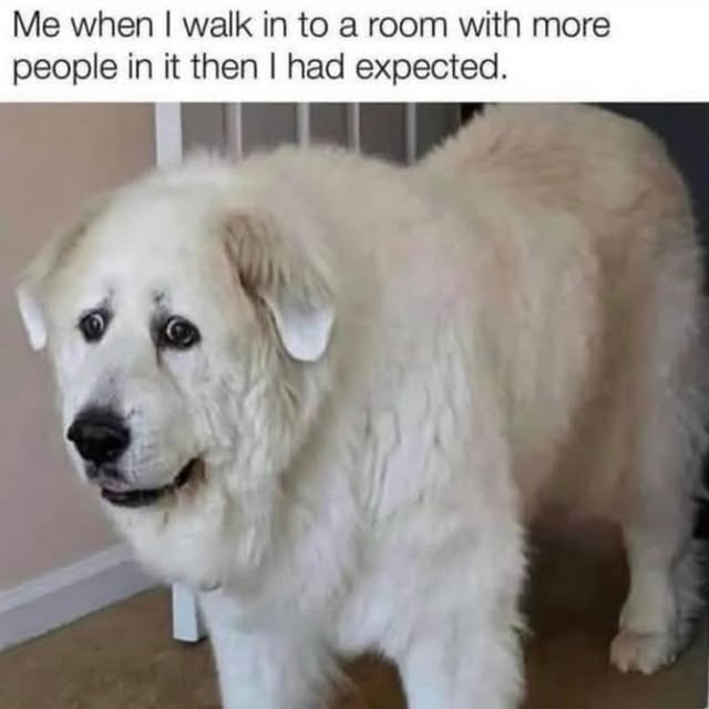  ......iends2   'recent posts' 