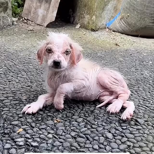  ........malsgram   'recent posts' 