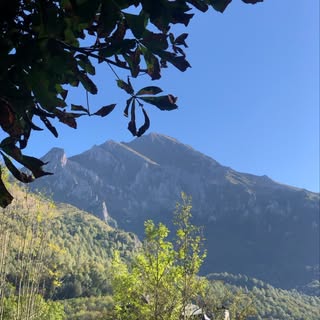 Hire .......saldeias influencer with 48.1k