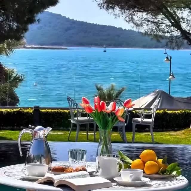  ....temag   'recent posts' 