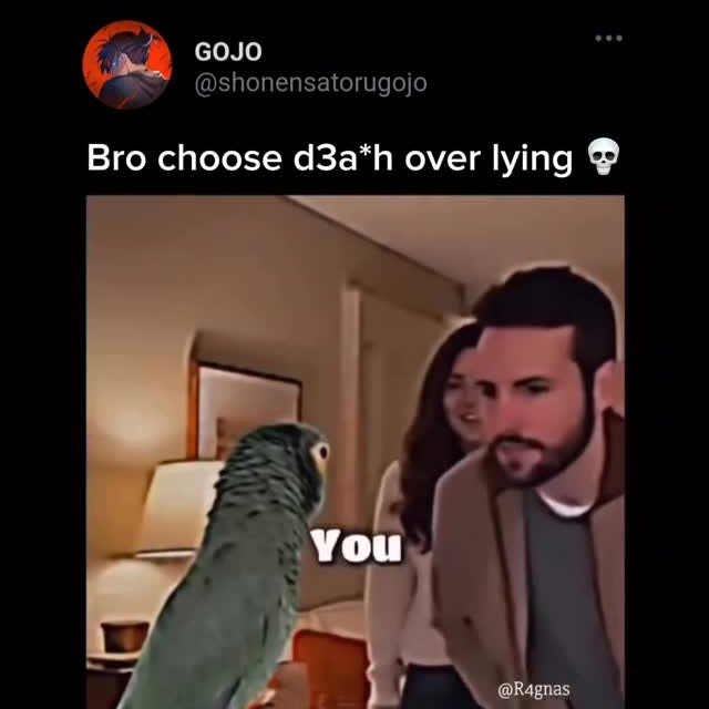  ........torugojo   'recent posts' 