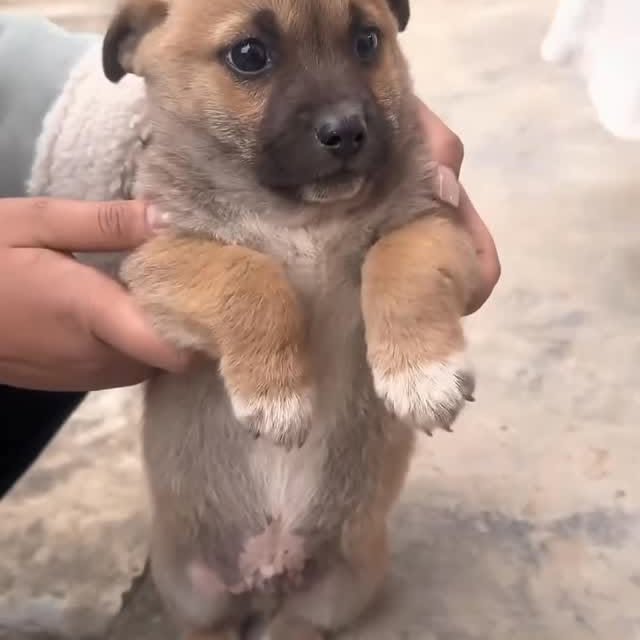  ......s.club   'recent posts' 