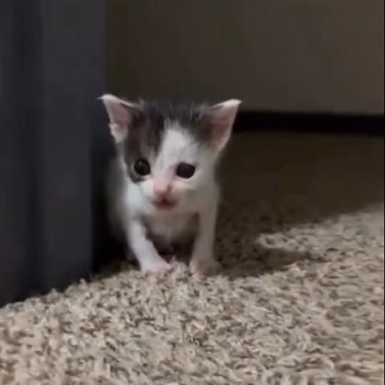  ...........irmouthopen   'recent posts' 