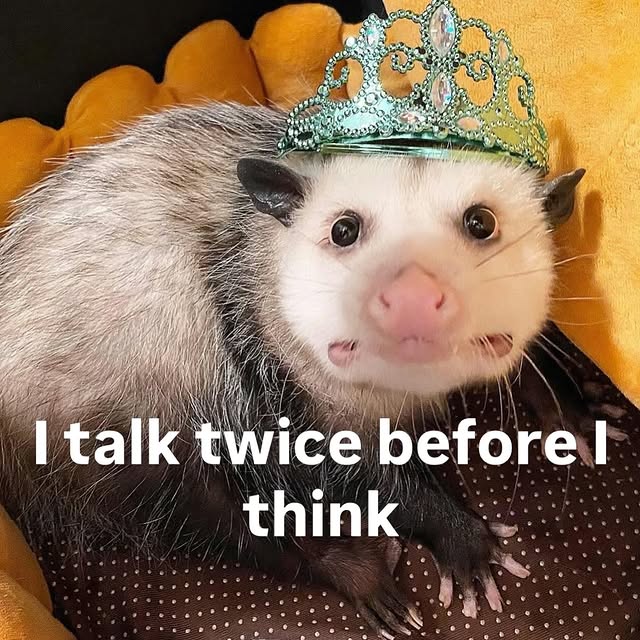  ......mthings   'recent posts' 