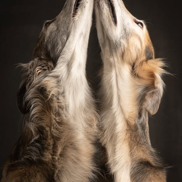  ..........hotography   'recent posts' 